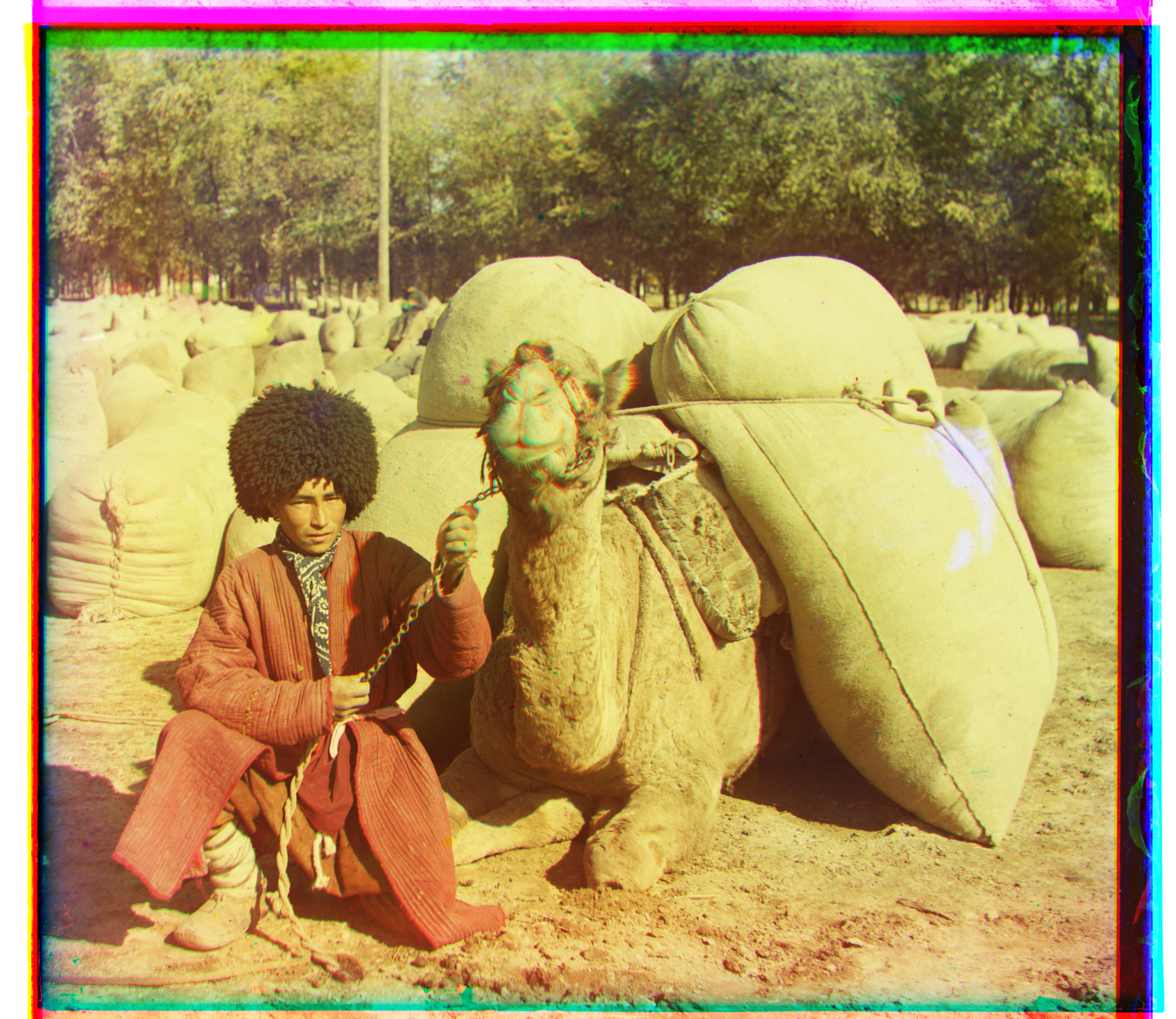 Man with Camel